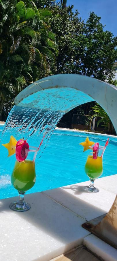 Gite Kaz A Topaze, Piscine, Jardin Tropical 圣罗斯 外观 照片