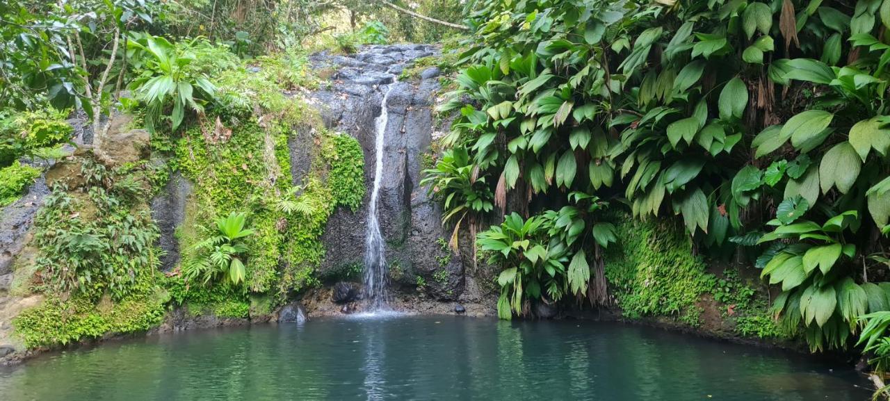 Gite Kaz A Topaze, Piscine, Jardin Tropical 圣罗斯 外观 照片