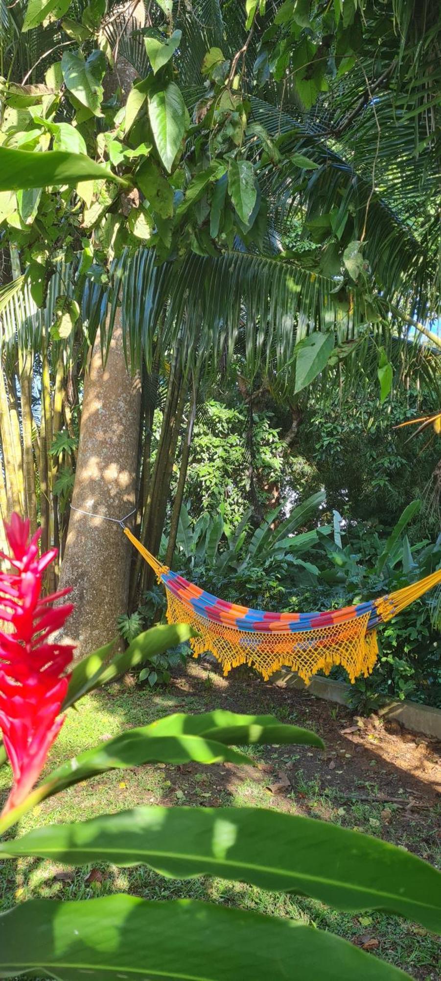 Gite Kaz A Topaze, Piscine, Jardin Tropical 圣罗斯 外观 照片